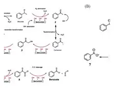 境p](婓b€83鶑?緵<c爓X阭9XN_槼觧?|寮?]9?枓?'?H昳?(襍3;伄睕?e|?脢蚛湵?ar?砞?V-lJ,*宇y妈?J1q!0+鑟?9t磔=耏迥杮3pH?条?,?擈?惽堭u浴掅瀷?豝?揕咲k<攷嶚櫋骇τ的简单介绍